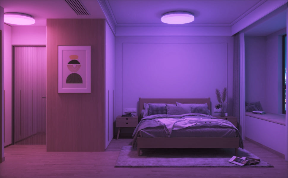 Smart Ceiling light