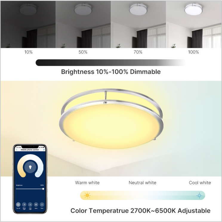 LUMIMAN Smart Semi Flush Mount RGB Ceiling Light