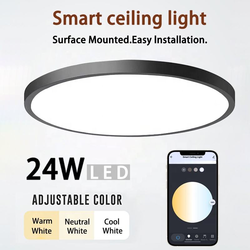 LUMIMAN Smart Surface Mounted Smart Round White Flush Mount Ceiling Light Black Color